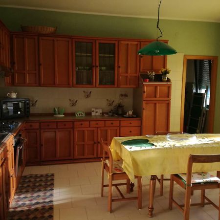 Appartamento In Villa Virginia Fino A 10 Ospiti Мондрагоне Экстерьер фото